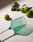 Nature Green Wine Glass