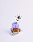 Everyday BloomLight vase for casual hosting